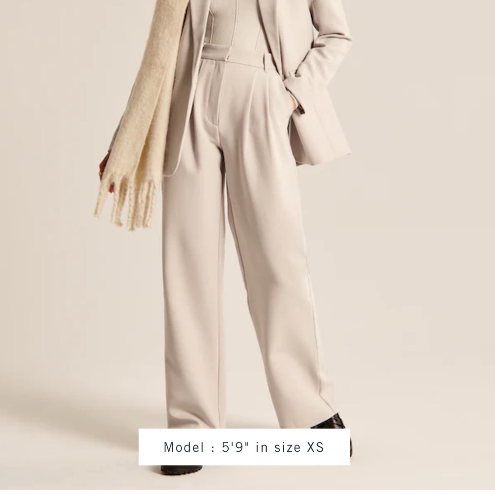 NWT Abercrombie and Fitch Sloane Tailored Pants